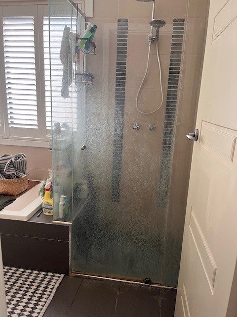 Shower Screen