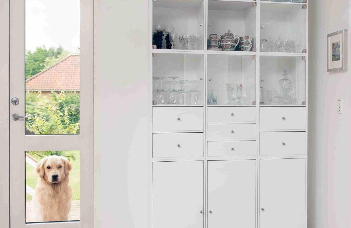 Can You Install a Pet Door in Double-Glazed Glass? What Carlisle Homeowners Should Know
