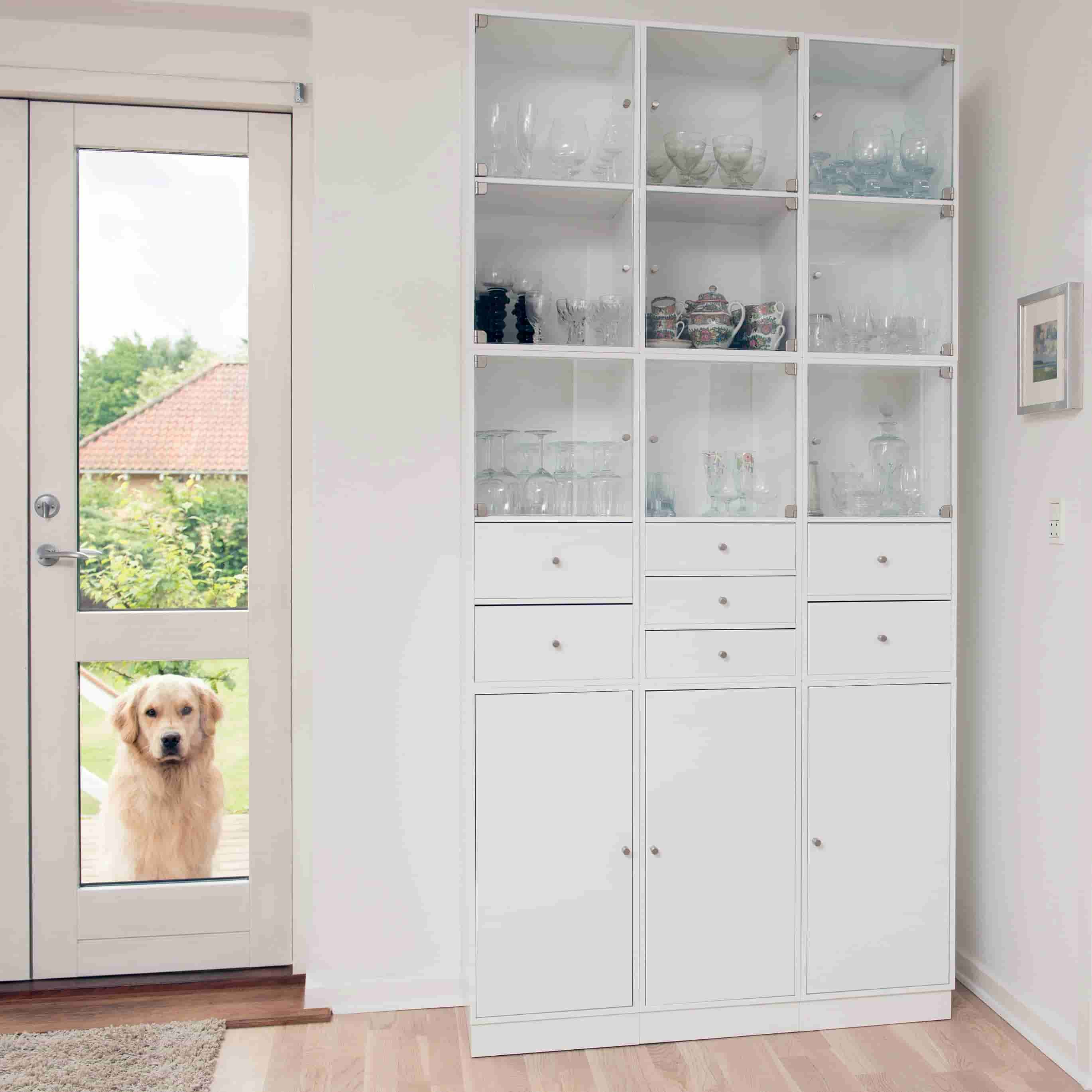 quality pet doors in Carlisle