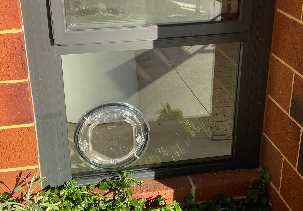Double-Glazed Pet Door